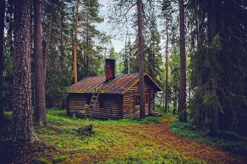 Rustic Cabin in the Woods