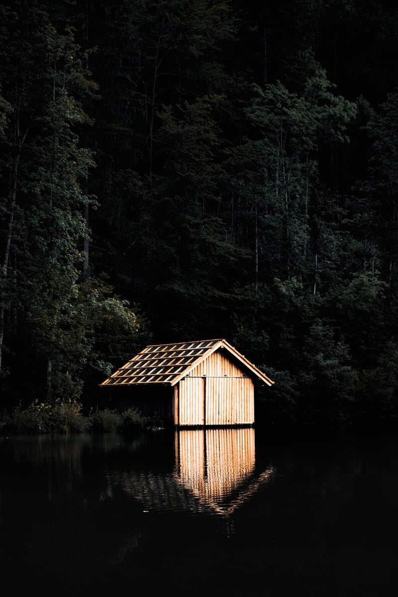 Wooden Cabin in the Forest